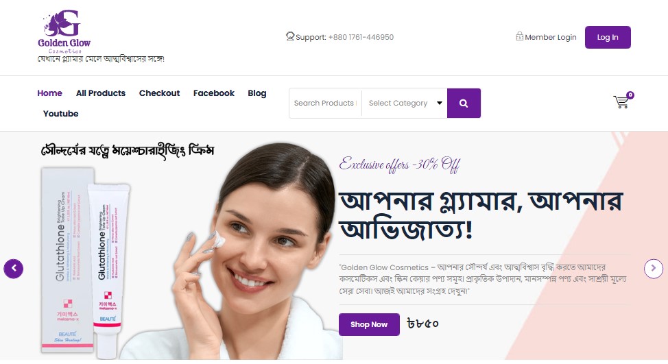 Create a Professional WordPress Website for Your Small Business
